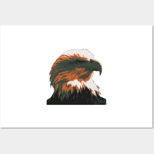 Bald Eagle Portrait Posters and Art